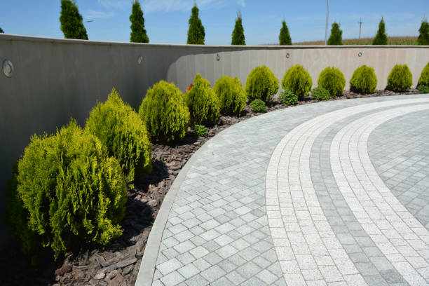 Best Decorative Driveway Pavers  in Cottonde, AL